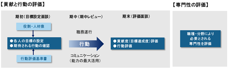 貢献と行動の評価/専門性の評価