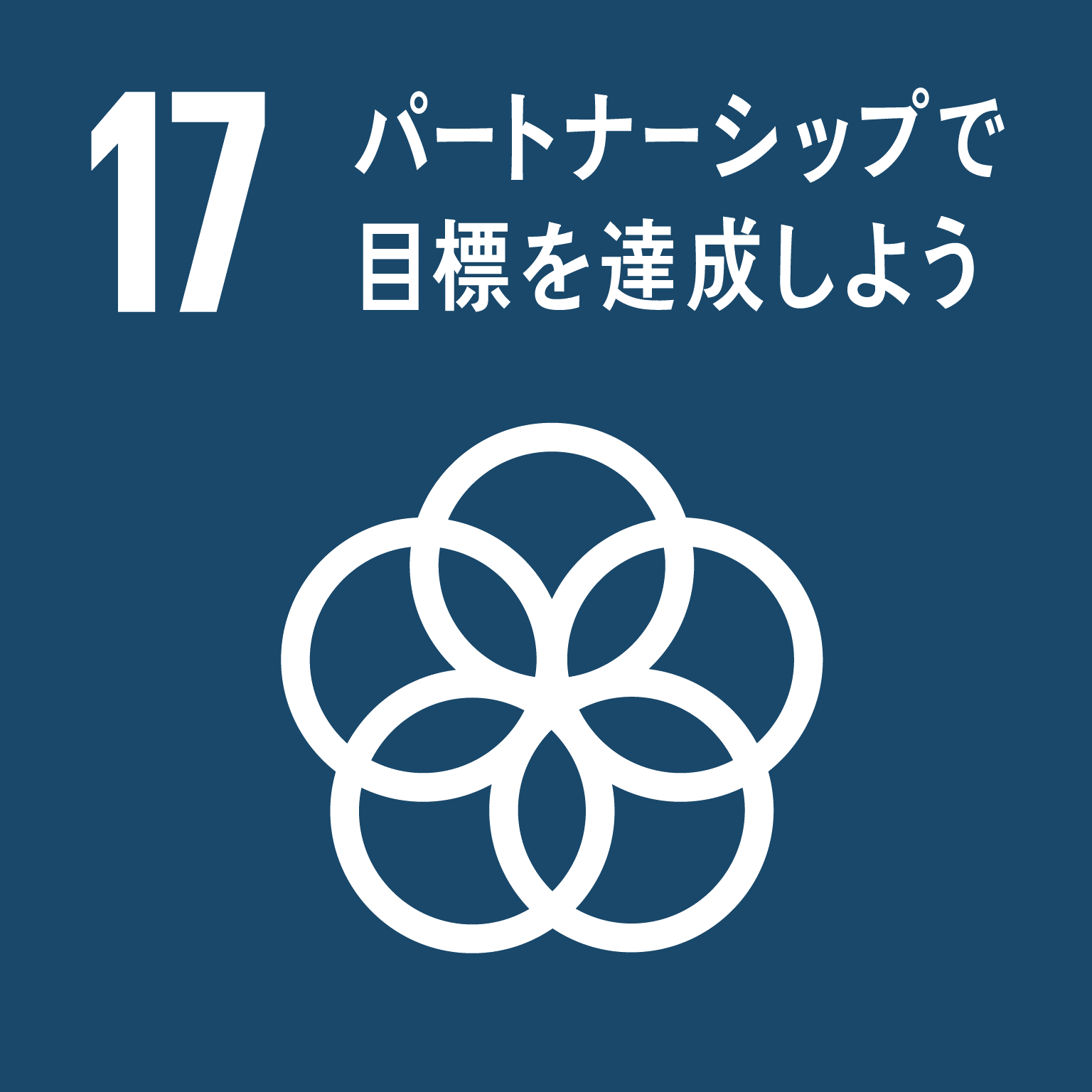 SDGs GOAL 17