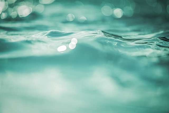 番茄社区app下载安装