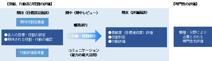 貢献、行動および役割の評価と専門性の評価