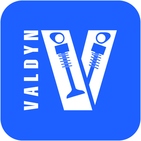 logo_VALDYN
