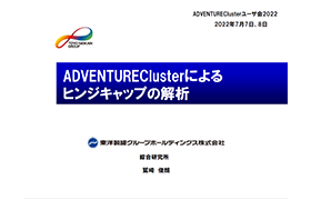 ADVENTUREClusterによるヒンジキャップの解析