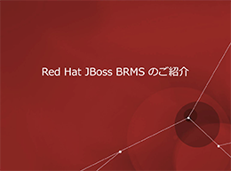 JBoss BRMS Business Resource Planner ホワイトペーパー
