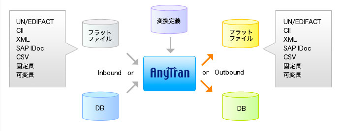 AnyTran