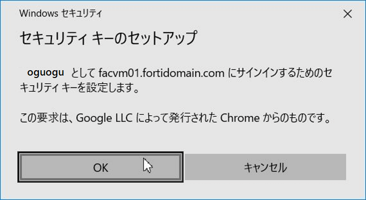 画面キャプチャ