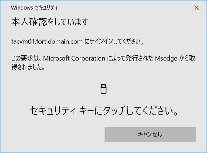 画面キャプチャ