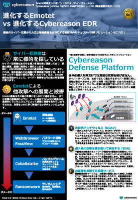 cybereason2_doc.jpg