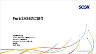 fortisase_doc_02.webp