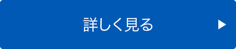 詳しく見る