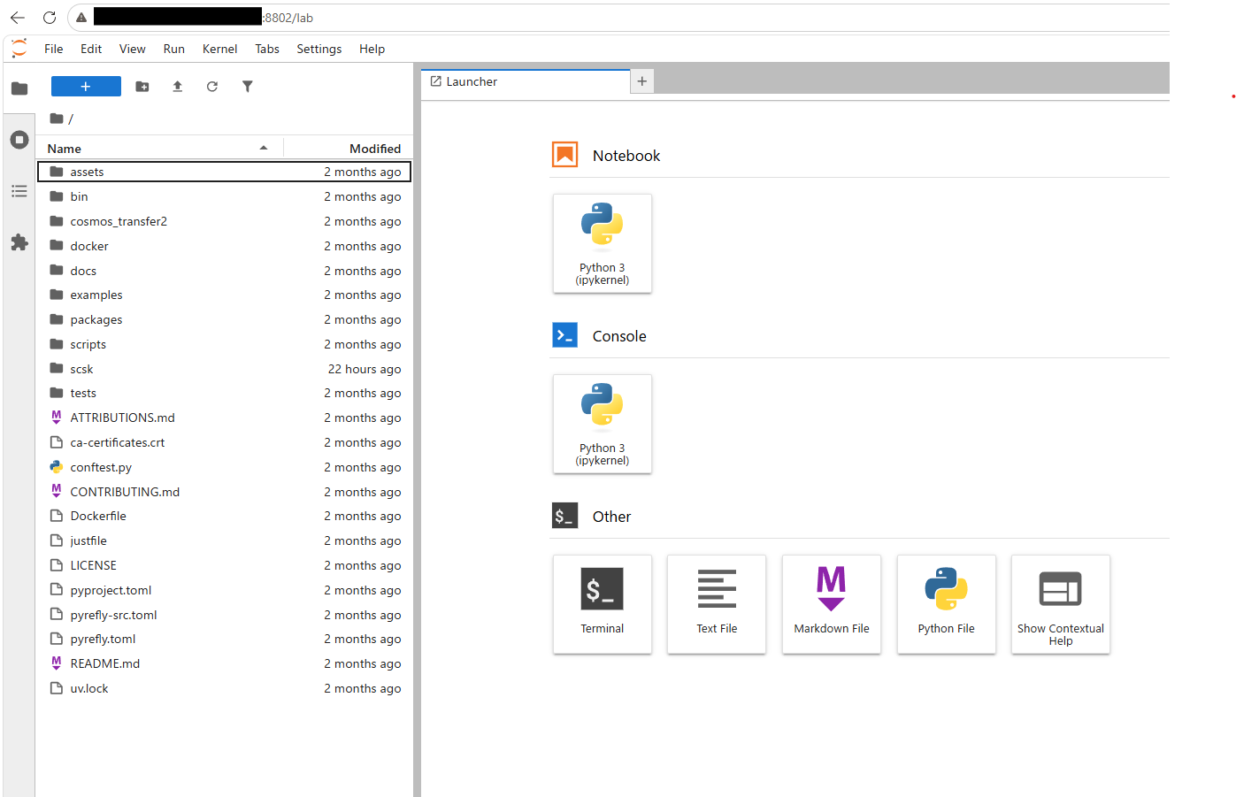 Windows PCからJupyterLabへアクセスした画面