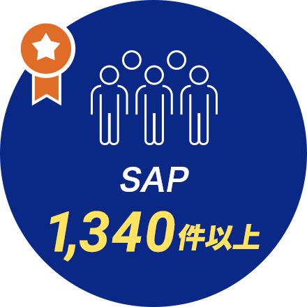 SAP 790件以上